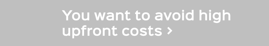 You want to avoid high upfront costs 