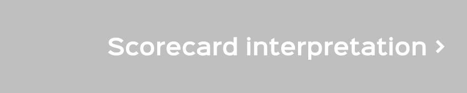 Scorecard interpretation 