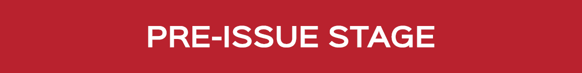 PRE ISSUE STAGE