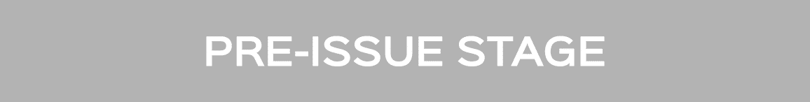 PRE ISSUE STAGE