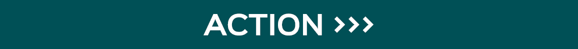 ACTION   