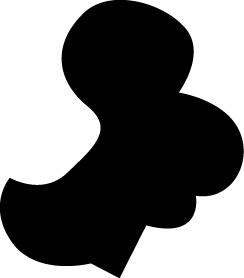 Polygon