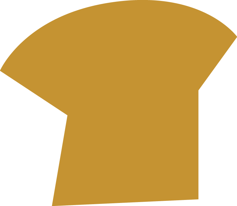 Polygon