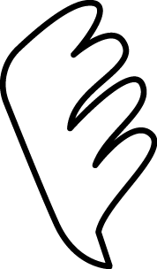 Polygon