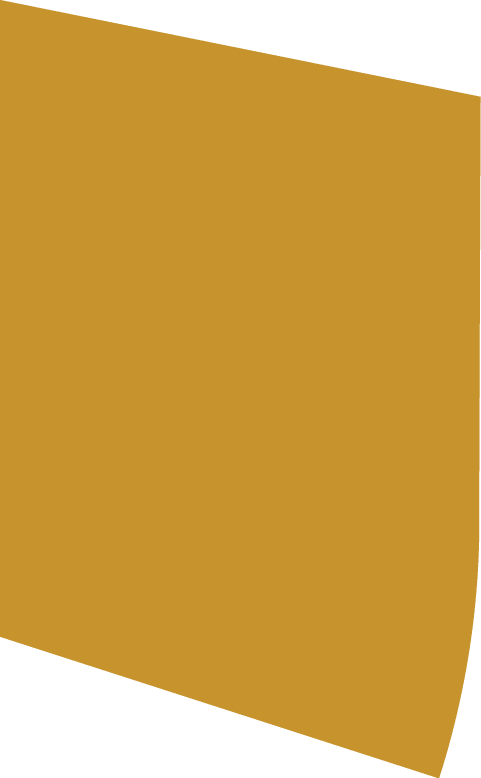 Polygon