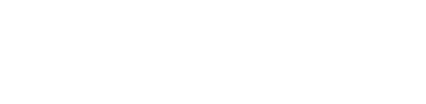 STRATEGIC OPPORTUNITY