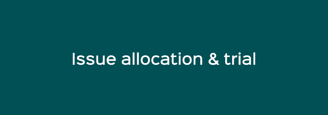 Issue allocation & trial